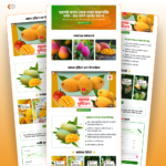 45 + Most Premium Wordpress Landing Page Template Bundle - Most Advanced Designed Landing Page Template - Image 4